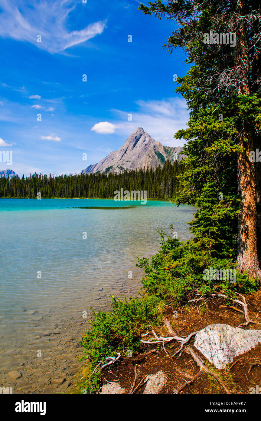 Scenic estate escursioni in montagna paesaggi di sorgenti carsiche e lago Watridge, Spray Laghi Parco Provinciale Kananaskis Country Foto Stock