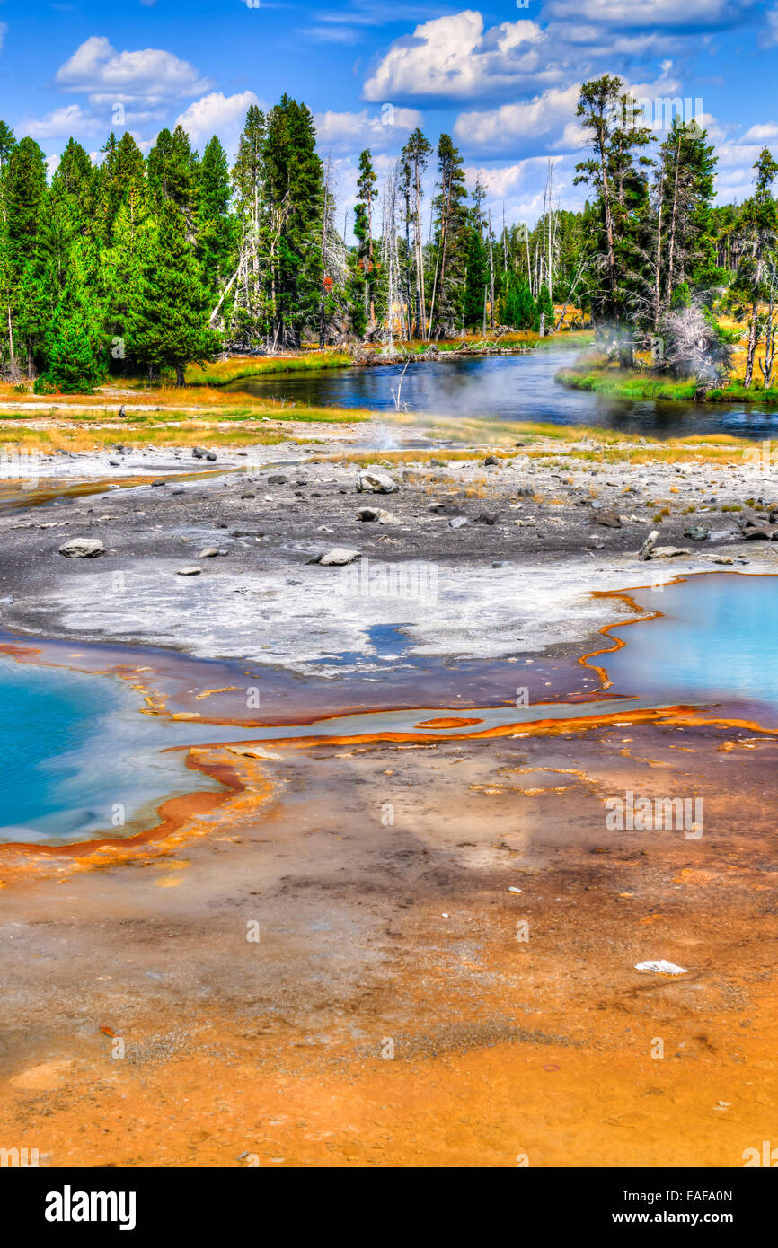 Suggestivi paesaggi dell'attività geotermica del Parco Nazionale di Yellowstone USA - Bacino del biscotto Foto Stock