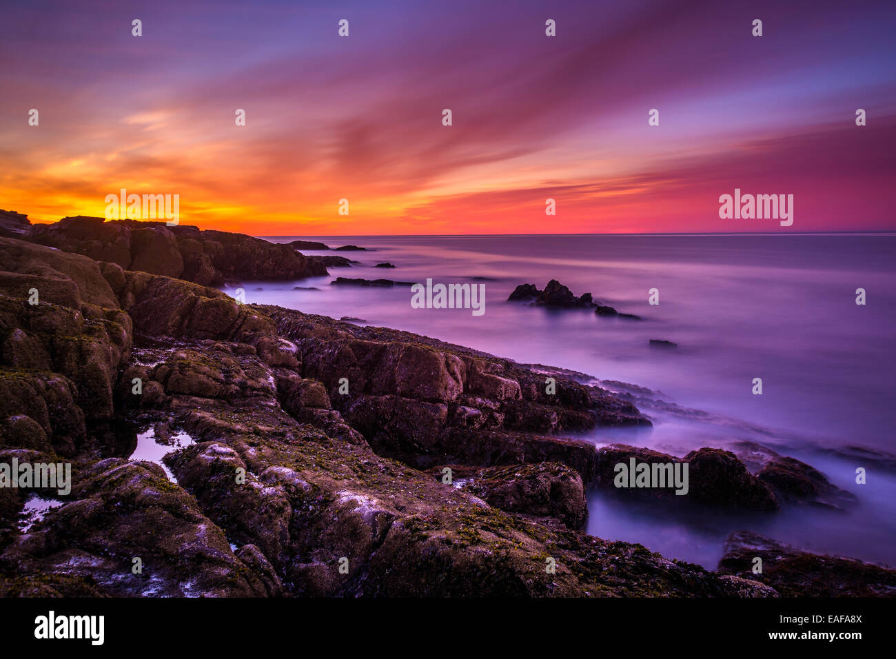 Alba sulla costa rocciosa e l'Oceano Atlantico al Parco Nazionale di Acadia, Maine. Foto Stock