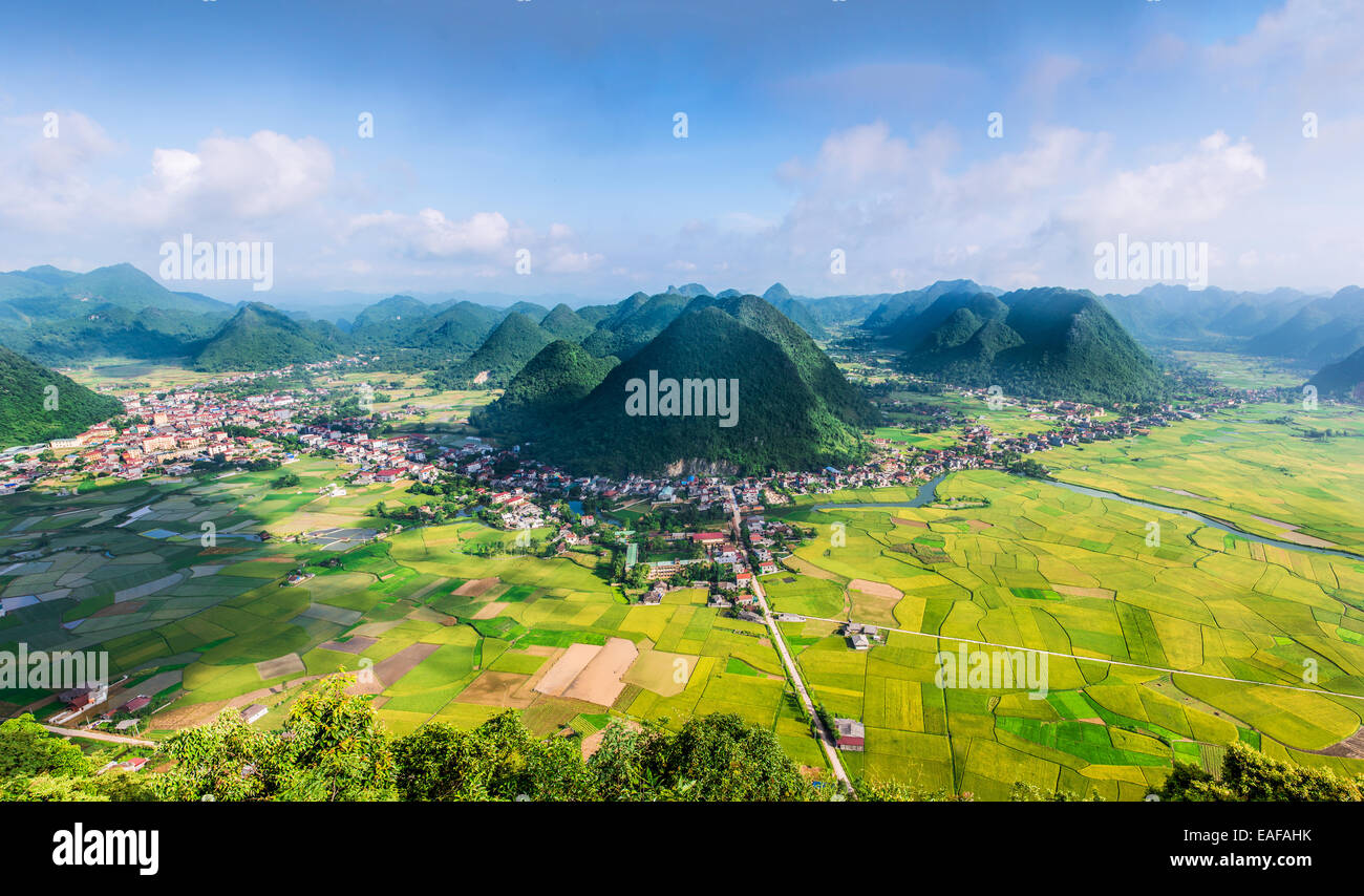 Campo di riso nella valle intorno con panorama di montagna vista in Bac figlio, Vietnam. Foto Stock