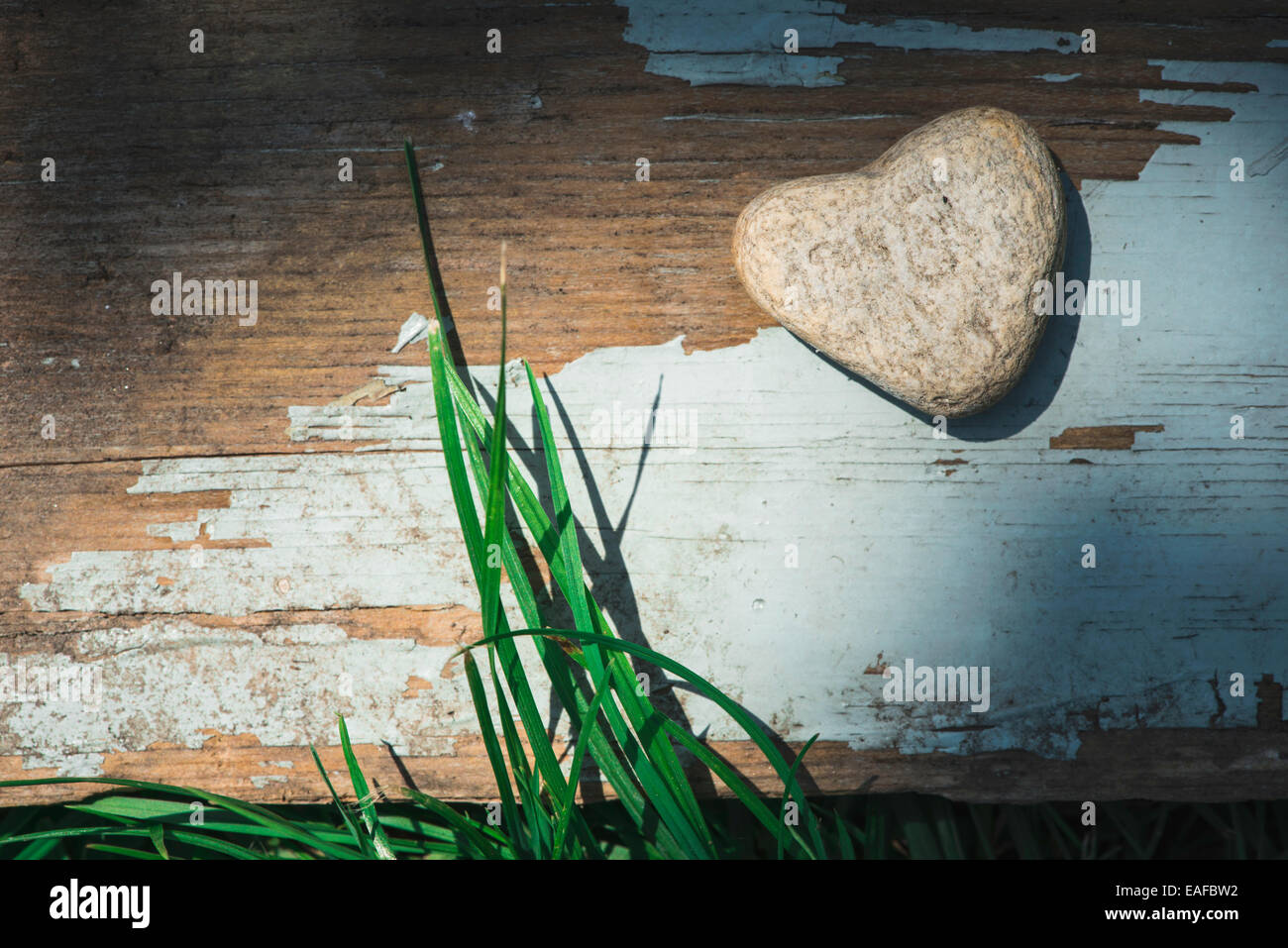 Cuore di pietra forma su legno. Erba verde Foto Stock