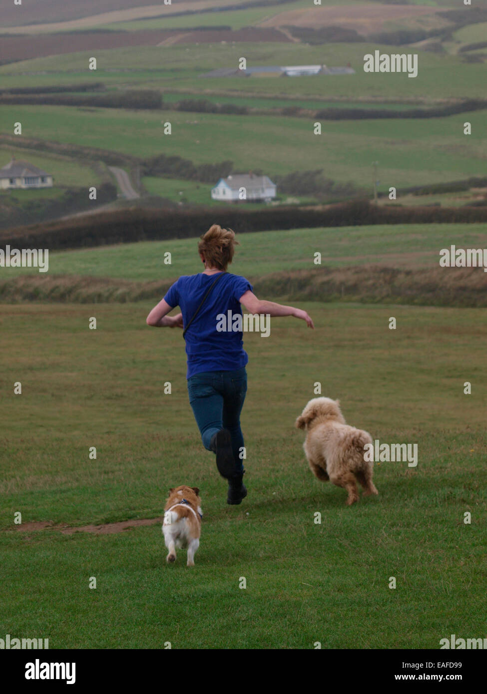 Giovane uomo adulto in esecuzione con cani, Bude, Cornwall, Regno Unito Foto Stock