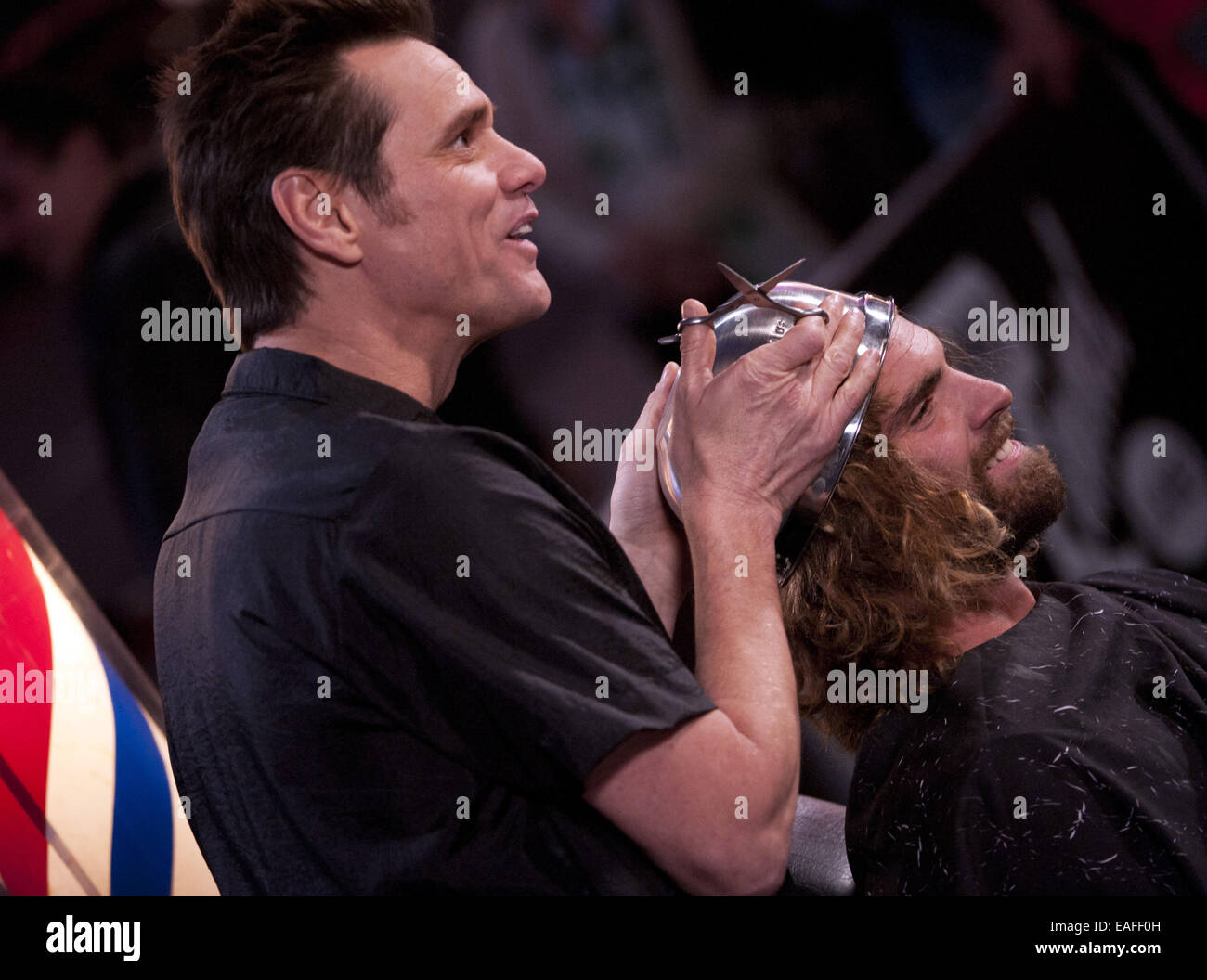 Hollywood, California, USA. Xiii Nov, 2014. Canadian nati attore comico e Jim Carrey eseguito un 'Dumb & più scemo 2' ciotola tagliato su un volontario maschio giovedì sera in una scenetta di set-up al di fuori del El Capitan Theater di Hollywood. In aggiunta, Carrey ha fatto una completa buzz tagliato su un volontario femmina lasciando solo il piccolo profilo della sua accuratamente a mano predisposto sulla parte superiore della sua testa. Carrey set-up una gag con il volontario maschio dove è apparso ha tagliato il suo orecchio, tenendo il "cut off' orecchio fino e fingere di mangiare prima di gettarlo al di fuori della fotocamera. Come Carrey tagliare i capelli della femmina volontario, egli p Foto Stock