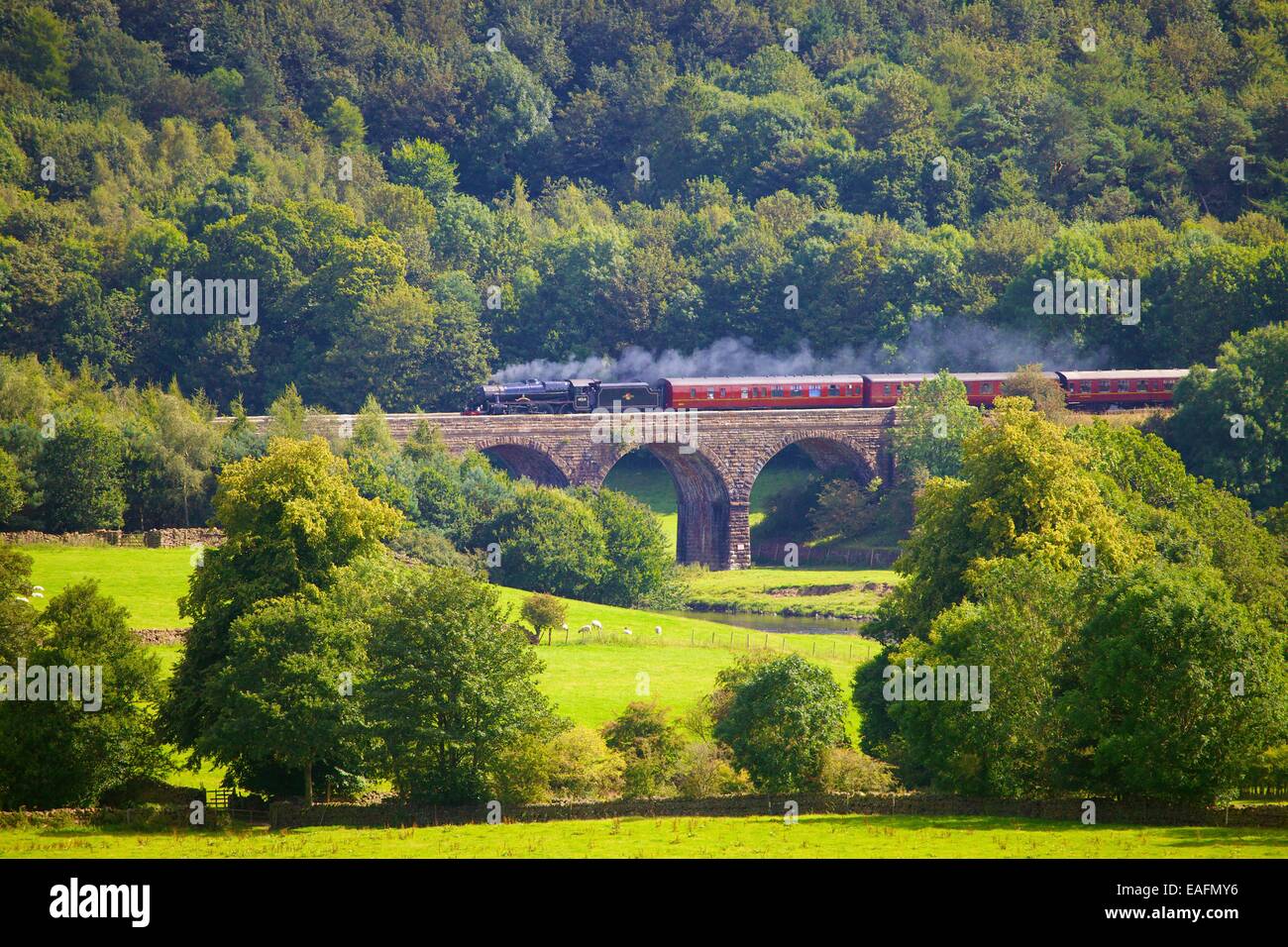 Il Sherwood Forester treno a vapore sul Long Meg viadotto, accontentarsi di Carlisle linea ferroviaria, Eden Valley, Cumbria, Inghilterra, Regno Unito. Foto Stock