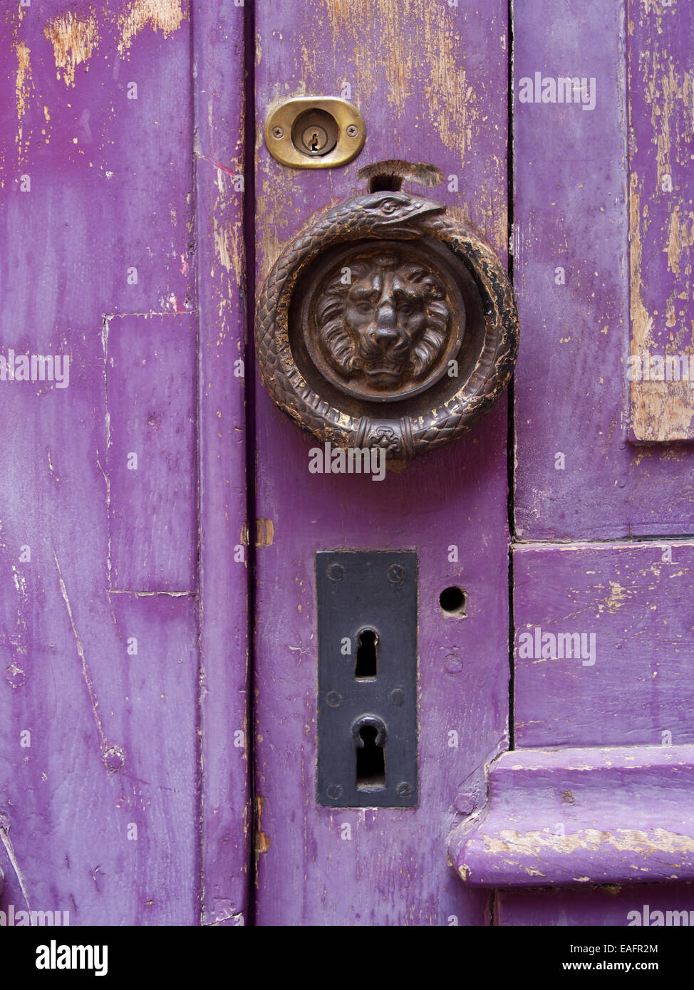 Viola porta con un leone maniglia sagomata Foto Stock