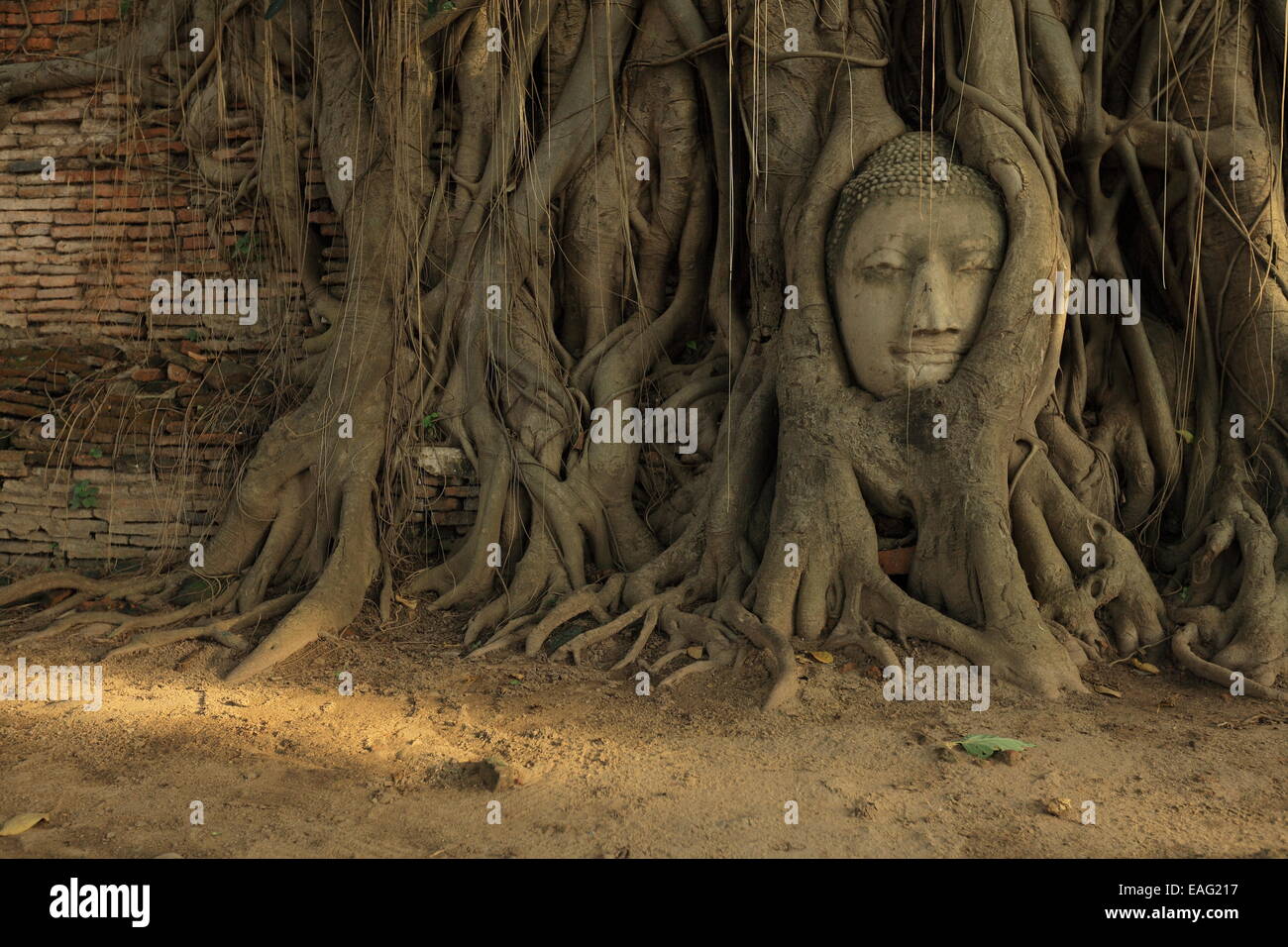 Il Wat Phra Mahathat - al parco storico di Ayutthaya - Thailandia Foto Stock