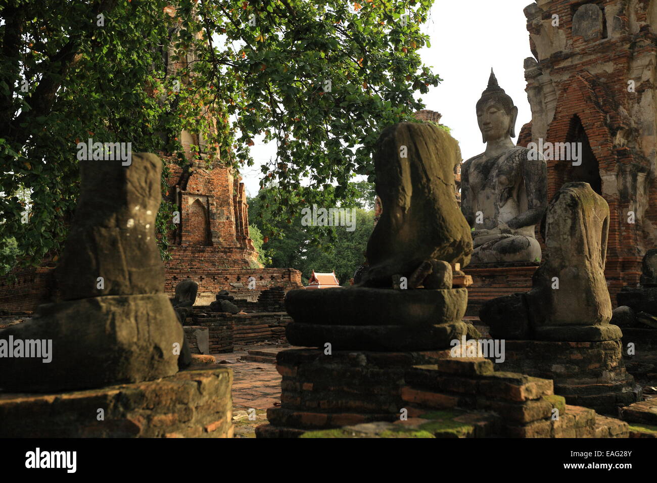 Il Wat Phra Mahathat - al parco storico di Ayutthaya - Thailandia Foto Stock