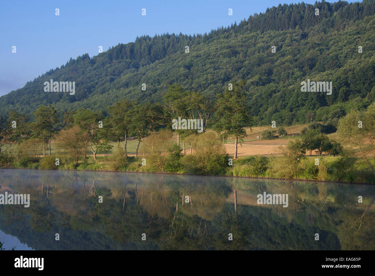 La mattina presto del fiume Saar con riflessioni di alberi Saarland Germania Foto Stock