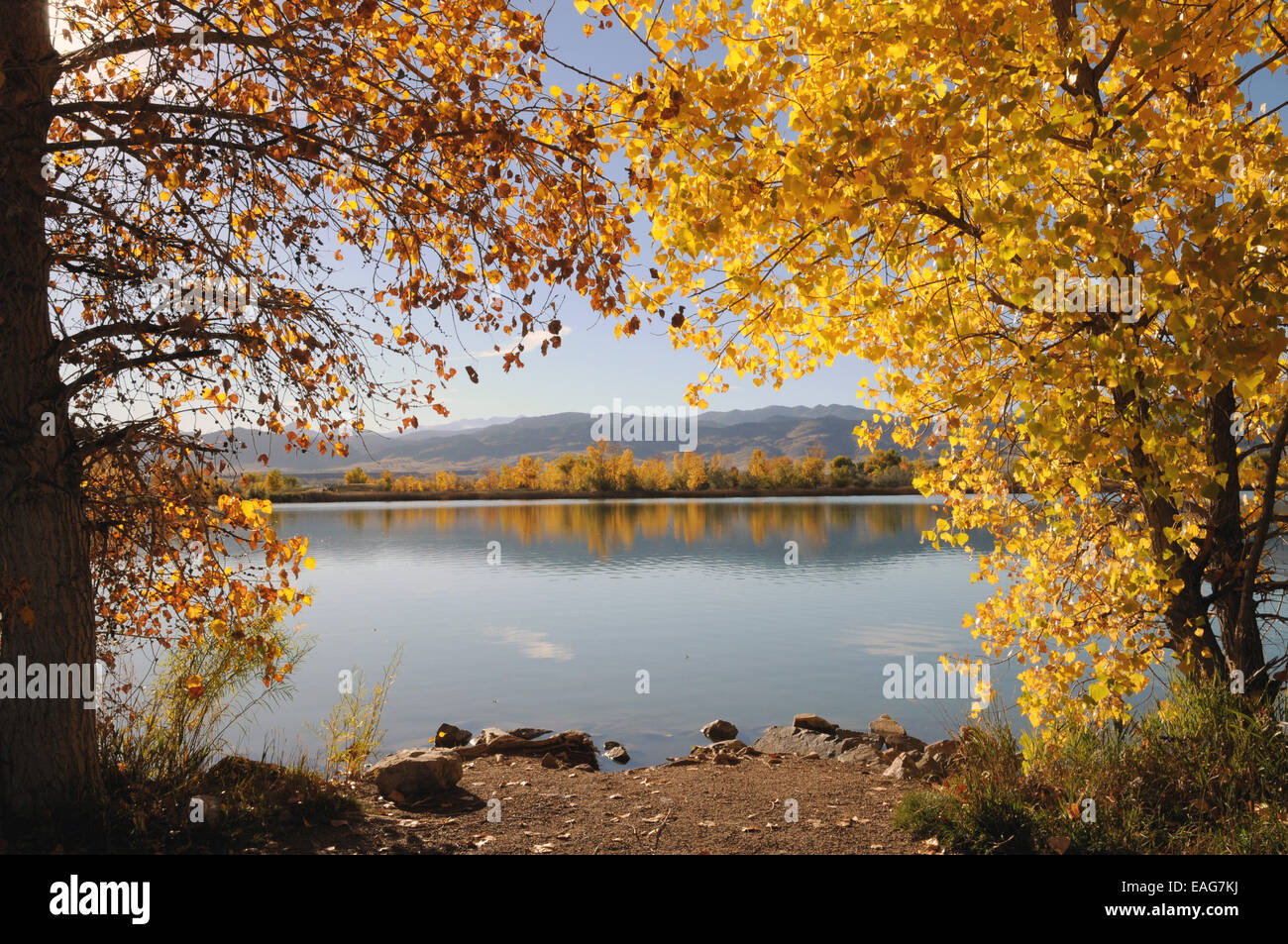 I colori autunnali a Coot Lake, vicino a Boulder serbatoio con vedute distanti del Front Range. Foto Stock