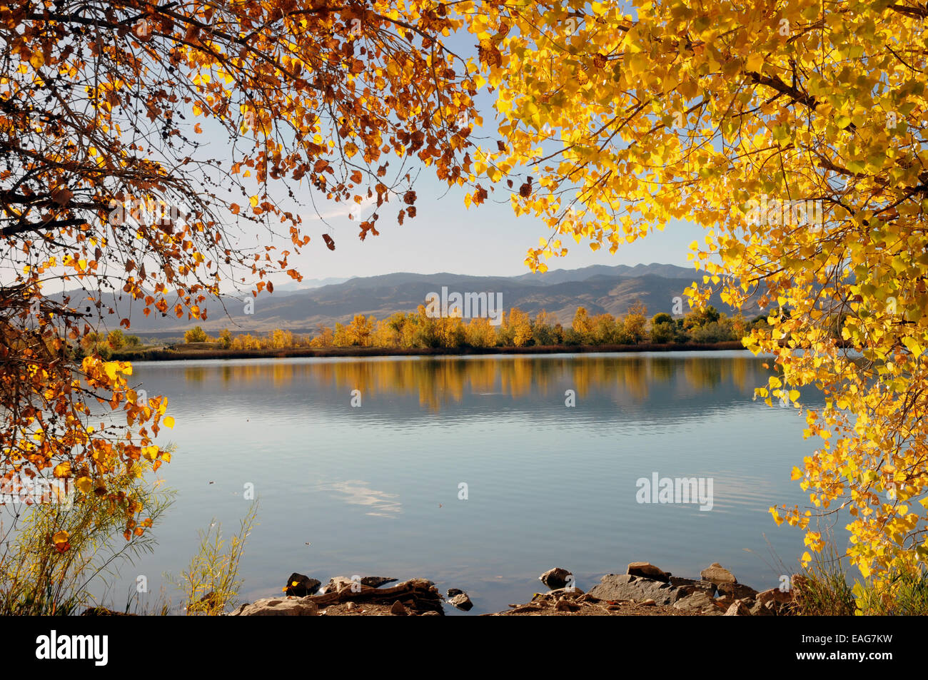 I colori autunnali a Coot Lake, vicino a Boulder serbatoio con vedute distanti del Front Range. Foto Stock