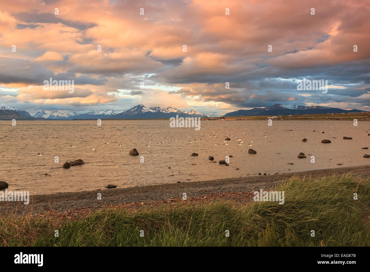 Vista da Puerto Natales, Ultima Esperanza Bay, Patagonia, Cile guardando verso Cerro Benitez picchi vicino a Torres del Paine NP Foto Stock