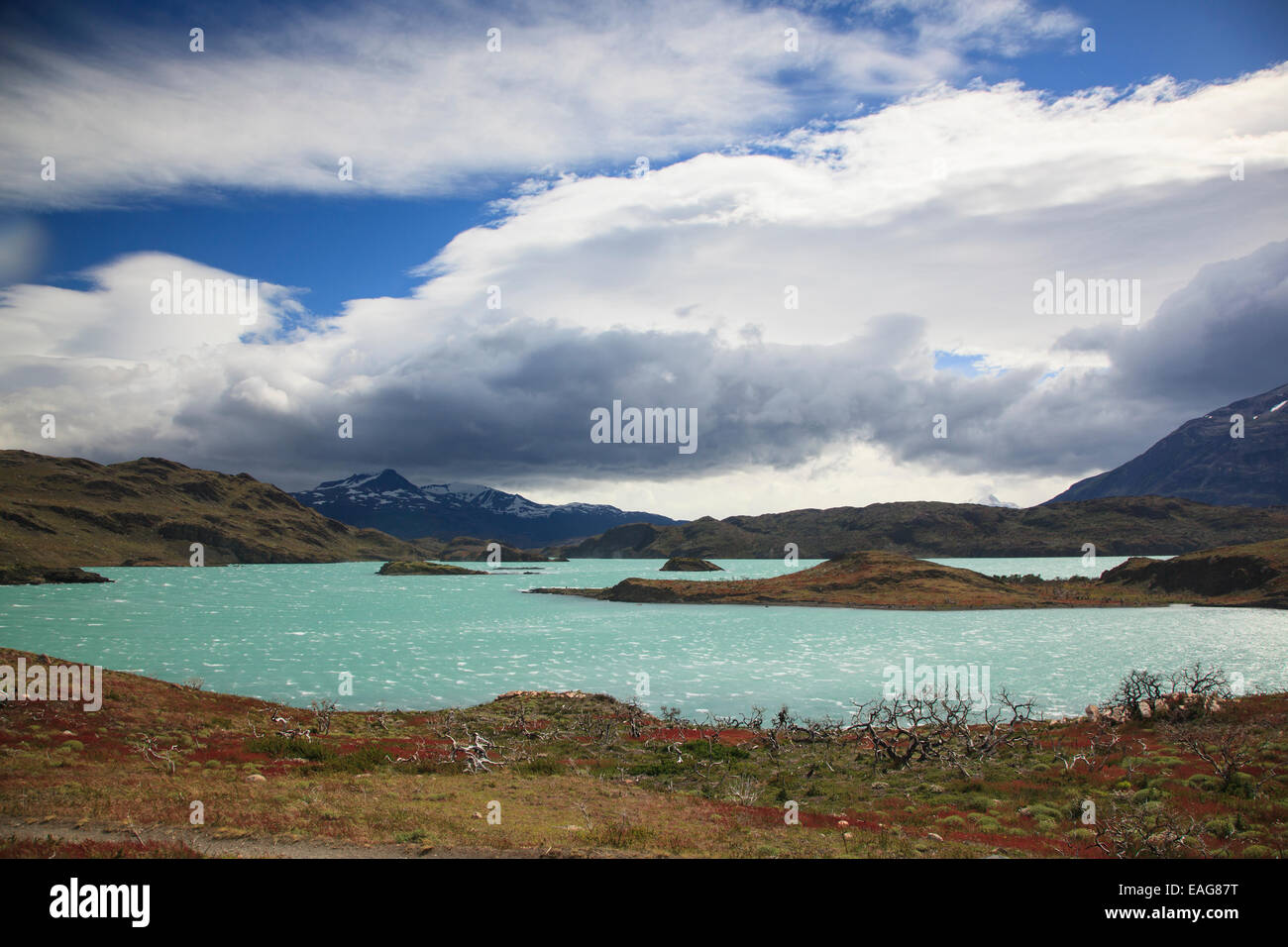 Lago, Parco Nazionale Torres del Paine, Cile Foto Stock