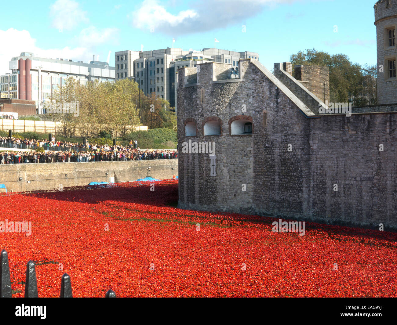 Folle a 2014 Ceramica display papavero Torre di Londra che simboleggia la guerra mondiale 1 Centenario " sangue spazzata di terre e mari di rosso" Foto Stock