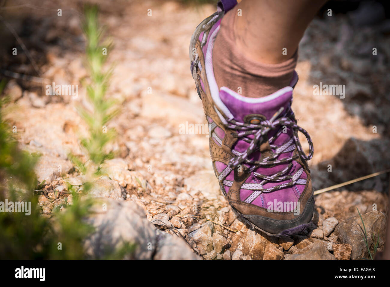 Scarpa da trekking. Foto Stock