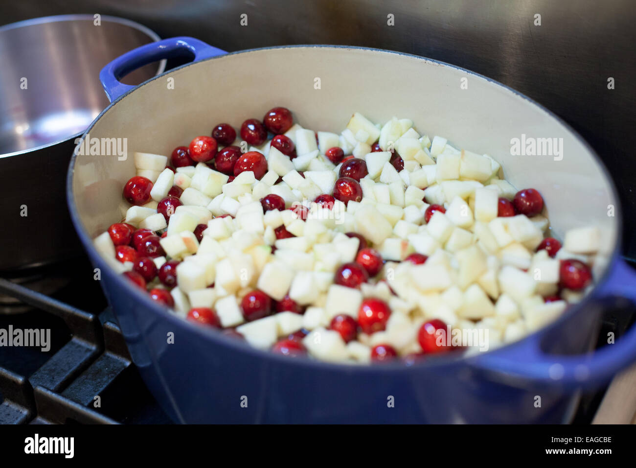 Mirtilli rossi freschi e tagliate a dadini le mele pronti per essere cucinati sulla stufa Foto Stock