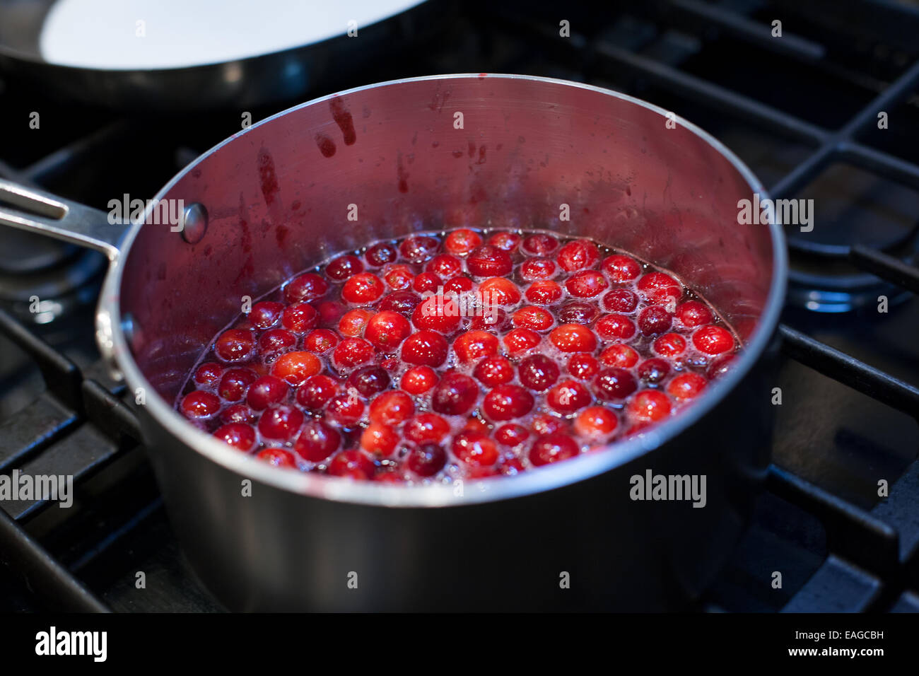 Mirtilli rossi freschi per la cottura su una stufa Foto Stock