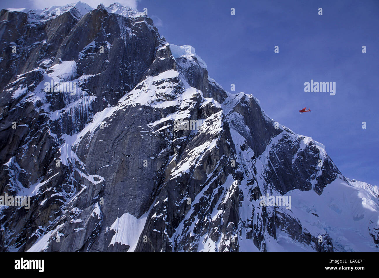 Cessna 180 Skiplane volando sopra la Grande Gola In Ak Estate Parco Nazionale di Denali Foto Stock