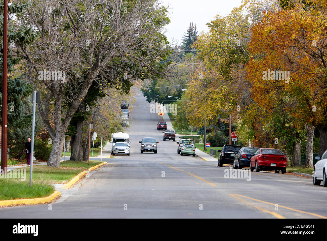 Viale alberato in autunno corrente swift Saskatchewan Canada Foto Stock