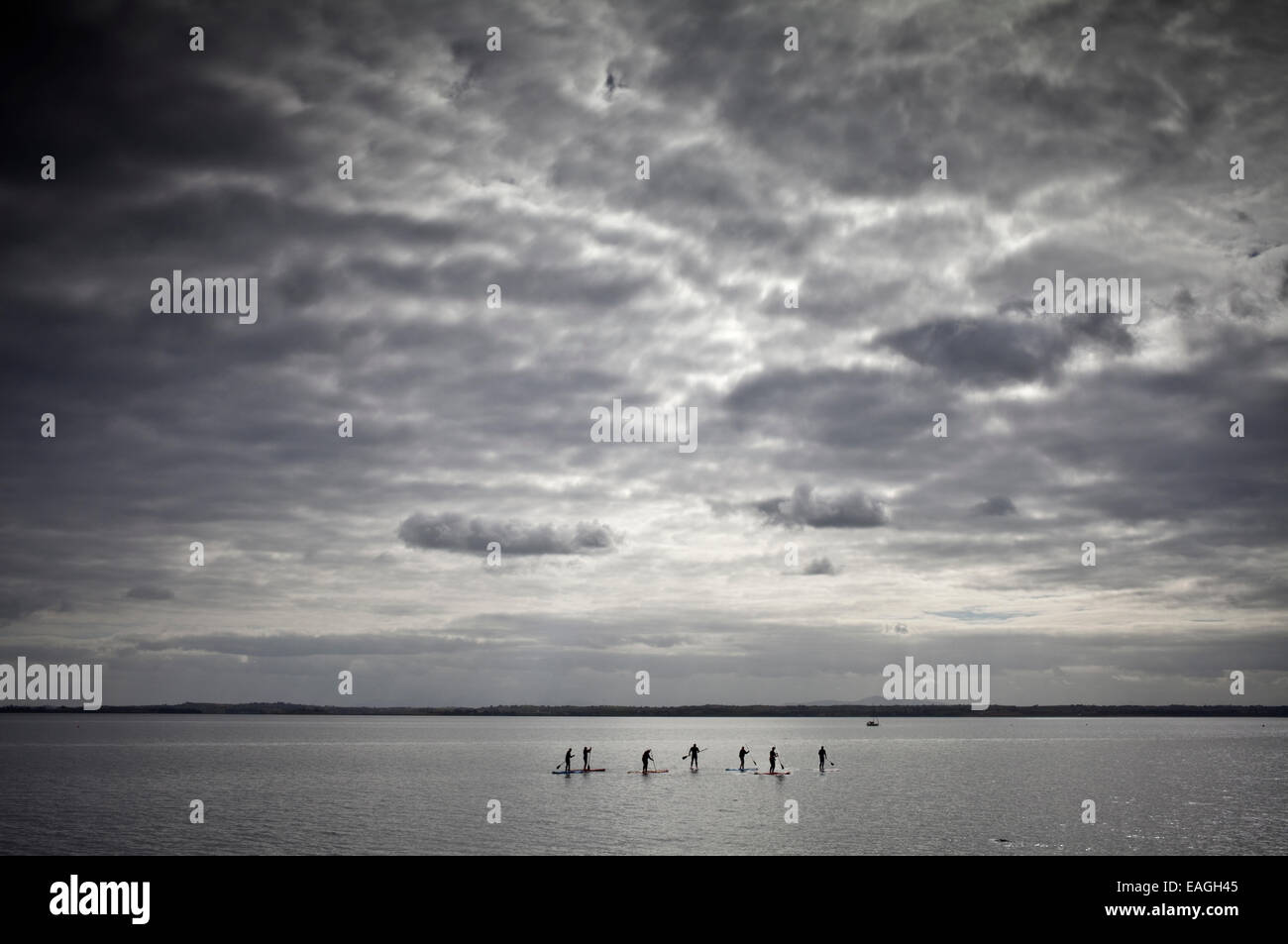 Stand Up Paddle Boarders su Strangford Lough, vicino a Abbazia di grigio, County Down, Irlanda del Nord Foto Stock