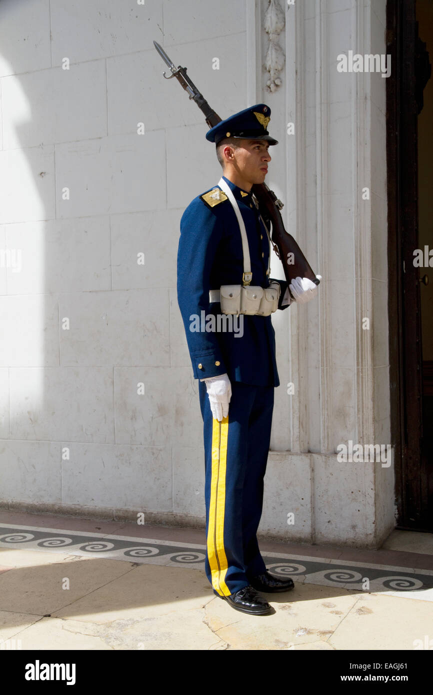 Guardia d'onore da Pante Foto Stock