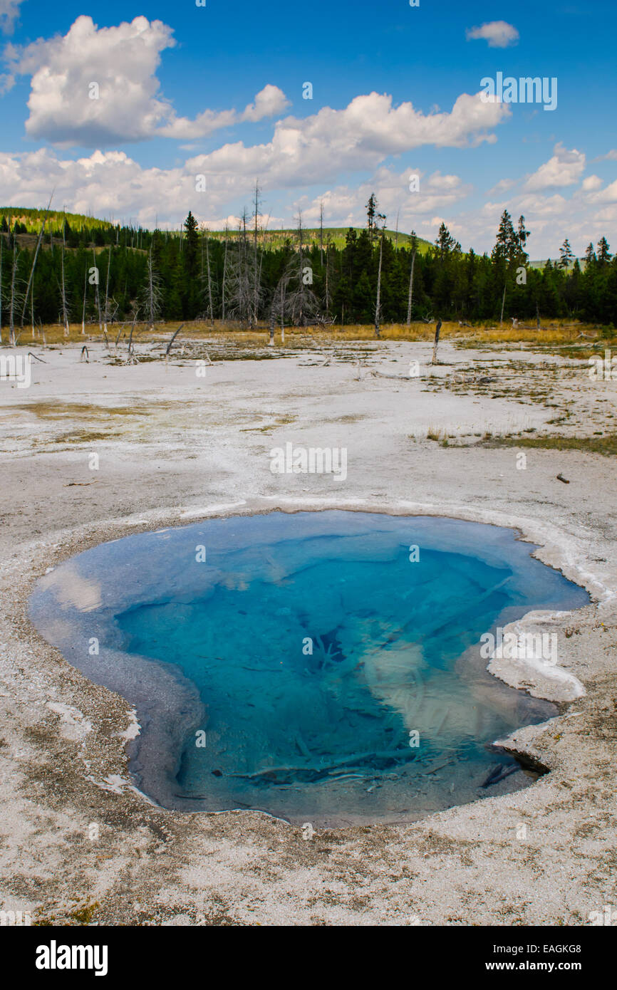 Suggestivi paesaggi dell'attività geotermica del Parco Nazionale di Yellowstone USA - Bacino del biscotto Foto Stock