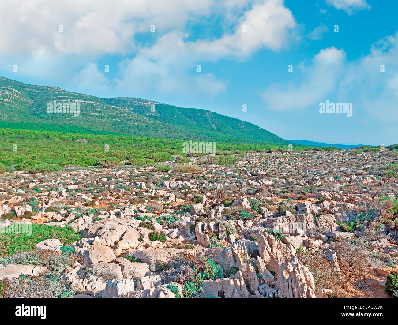 Le rocce in Porto Conte park di Alghero Foto Stock