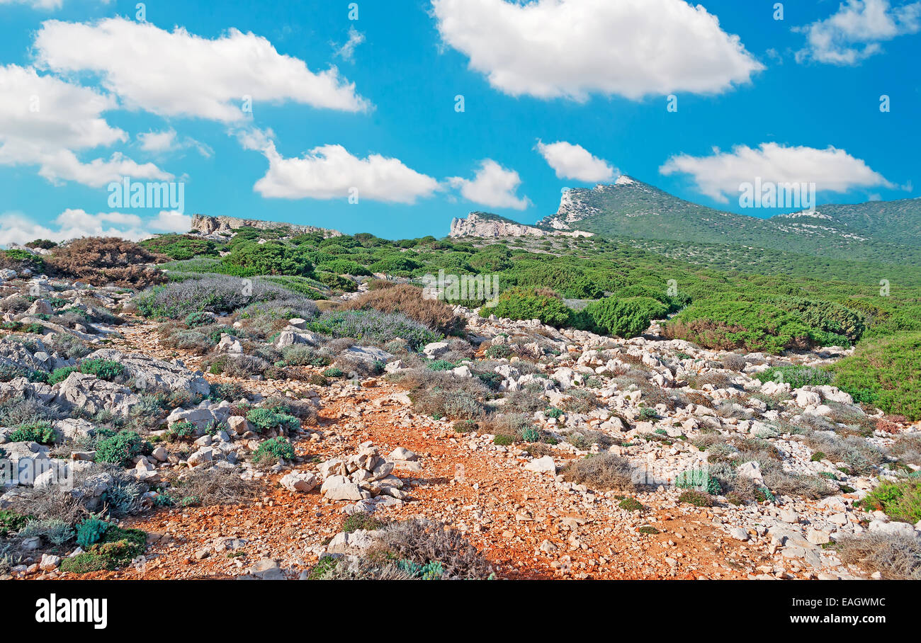 Le rocce in Porto Conte park di Alghero Foto Stock