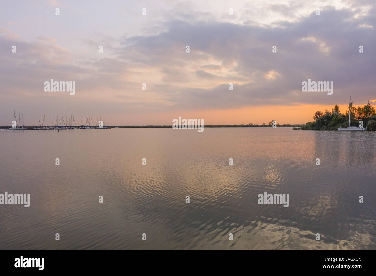 Autunno in azienda vitivinicola borgo di Jois a lago Neusiedler See, Burgenland, Austria, Jois Foto Stock