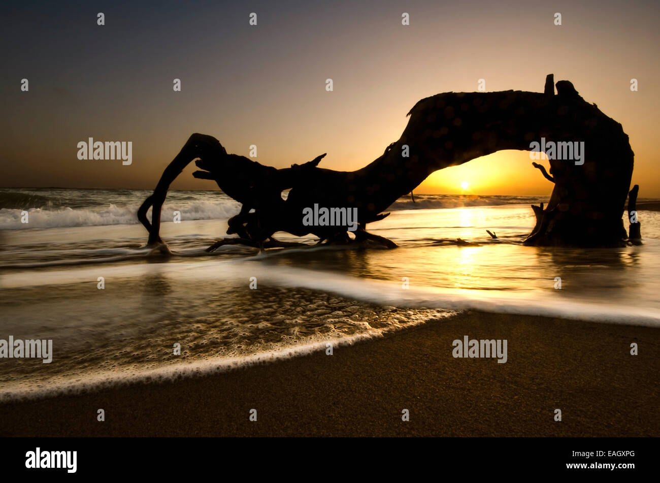 Il sole tramonta sull'acqua con driftwood stagliano in primo piano la Grecia Foto Stock