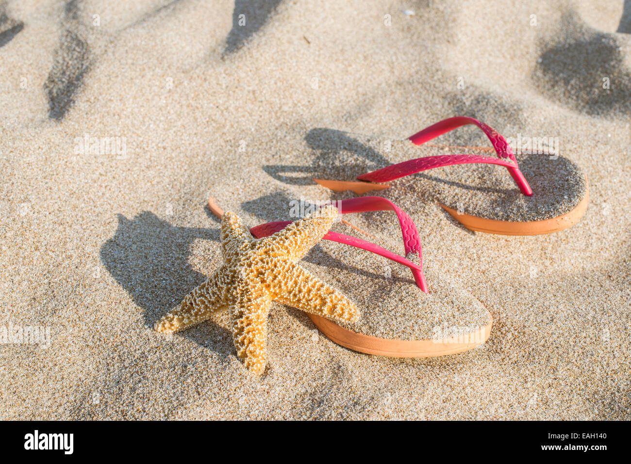 Sandali rosa sulla spiaggia in sabbia. Stella di mare Foto Stock