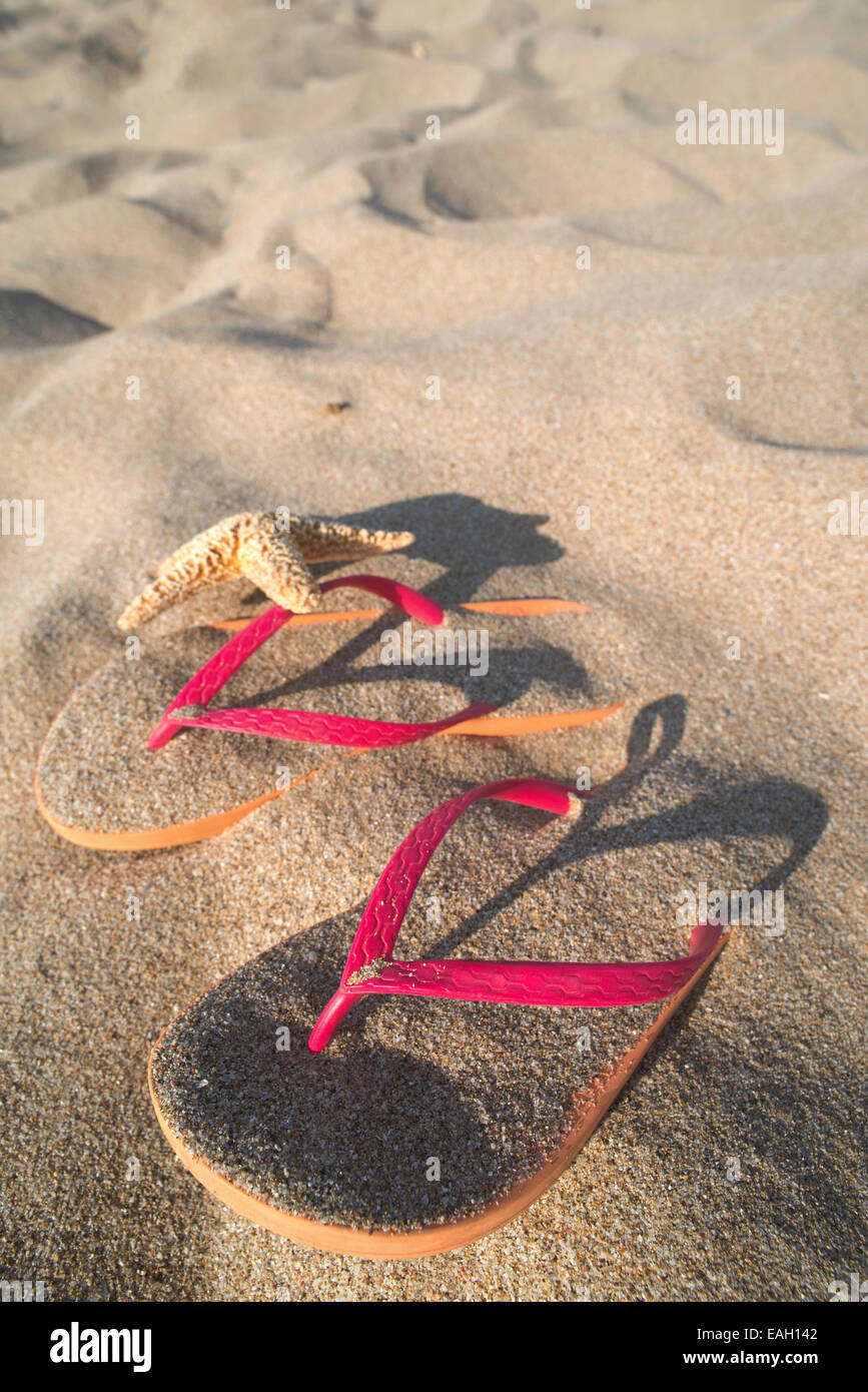 Sandali rosa sulla spiaggia in sabbia. Stella di mare Foto Stock