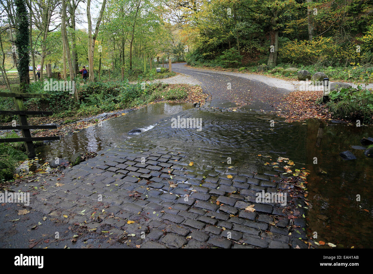 Guado sottaceti beck a dales modo in wharfedate a Bolton Abbey, Skipton, North Yorkshire, Inghilterra Foto Stock