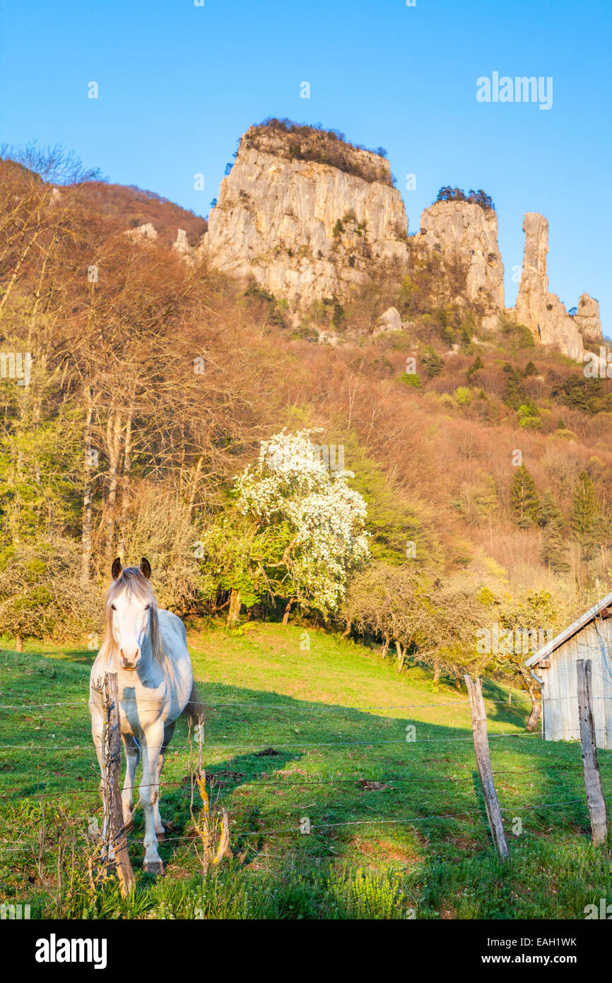 Tours de Saint-Jacques nel Parco Naturale des Massif de Bauges, Haute-Savoie, Rhône-Alpes, in Francia Foto Stock