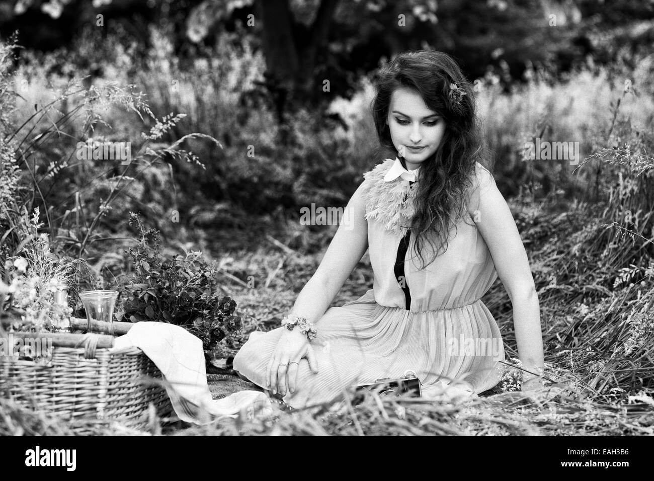 Pic-nic Foto Stock