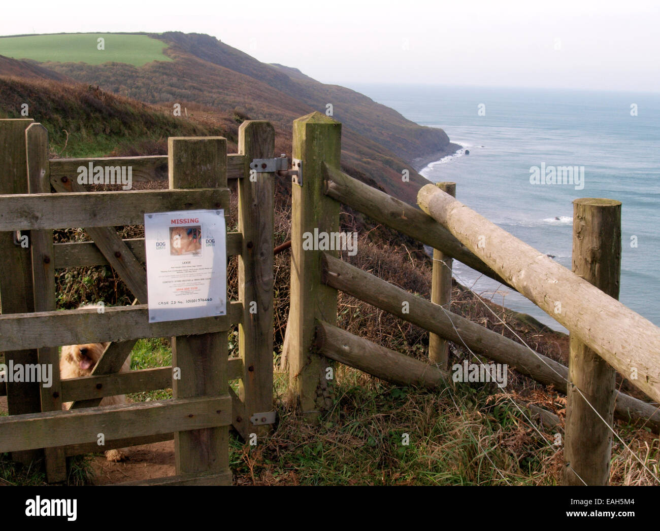 Cane poster mancanti su un kissing gate sulla costa sud ovest percorso, Millook, Bude, Cornwall, Regno Unito Foto Stock