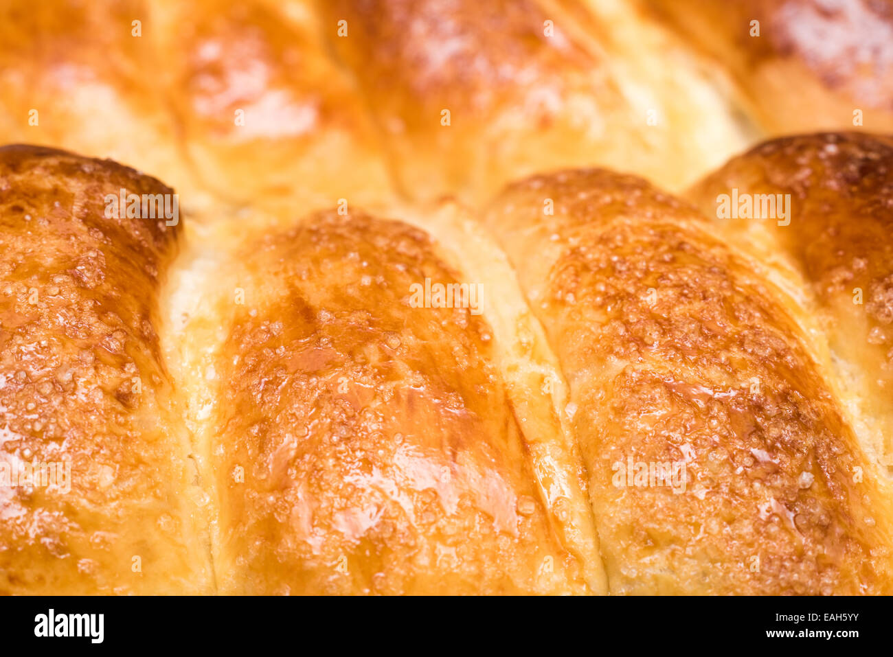 Tradizionale rumena Natale e Pasqua torta Cozonac Closeup Foto Stock