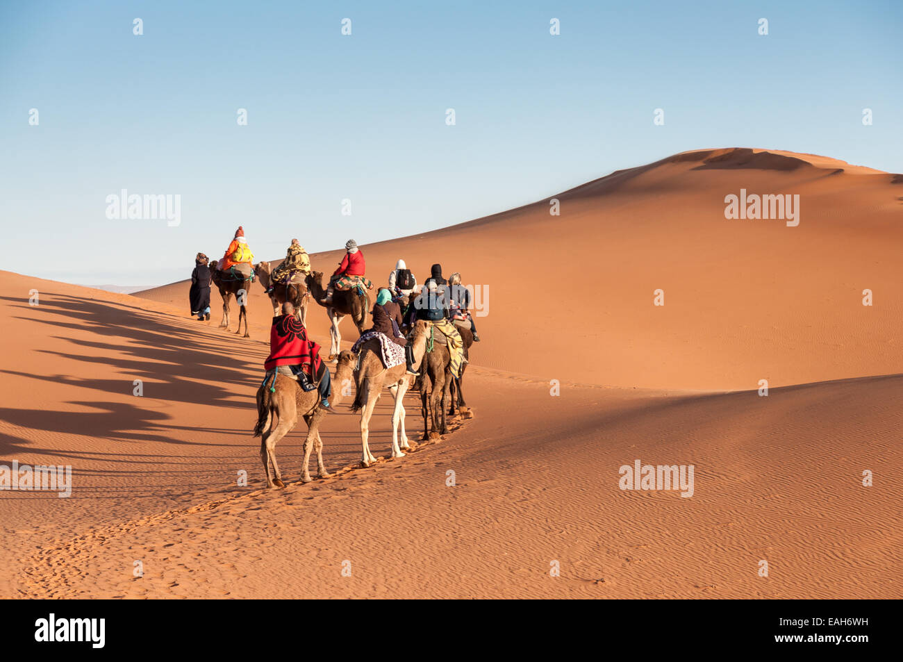 Camel caravan con i turisti nel deserto del Sahara. Il Marocco, Africa Foto Stock