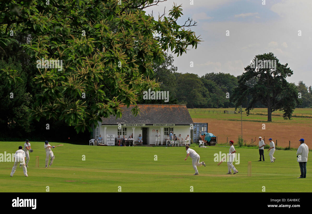 Cricket - una vista generale di un villaggio inglese partita di cricket in estate con i giocatori, pavilion spettatori e alberi Foto Stock