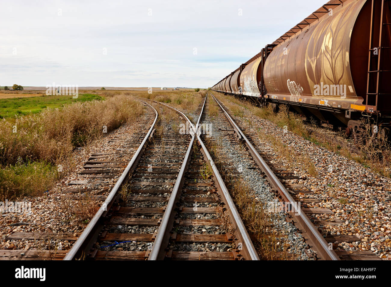 Trasporto merci carrelli granella su ex Canadian Pacific railway ora grande sandhills ferrovia attraverso il leader del Saskatchewan, Canada Foto Stock
