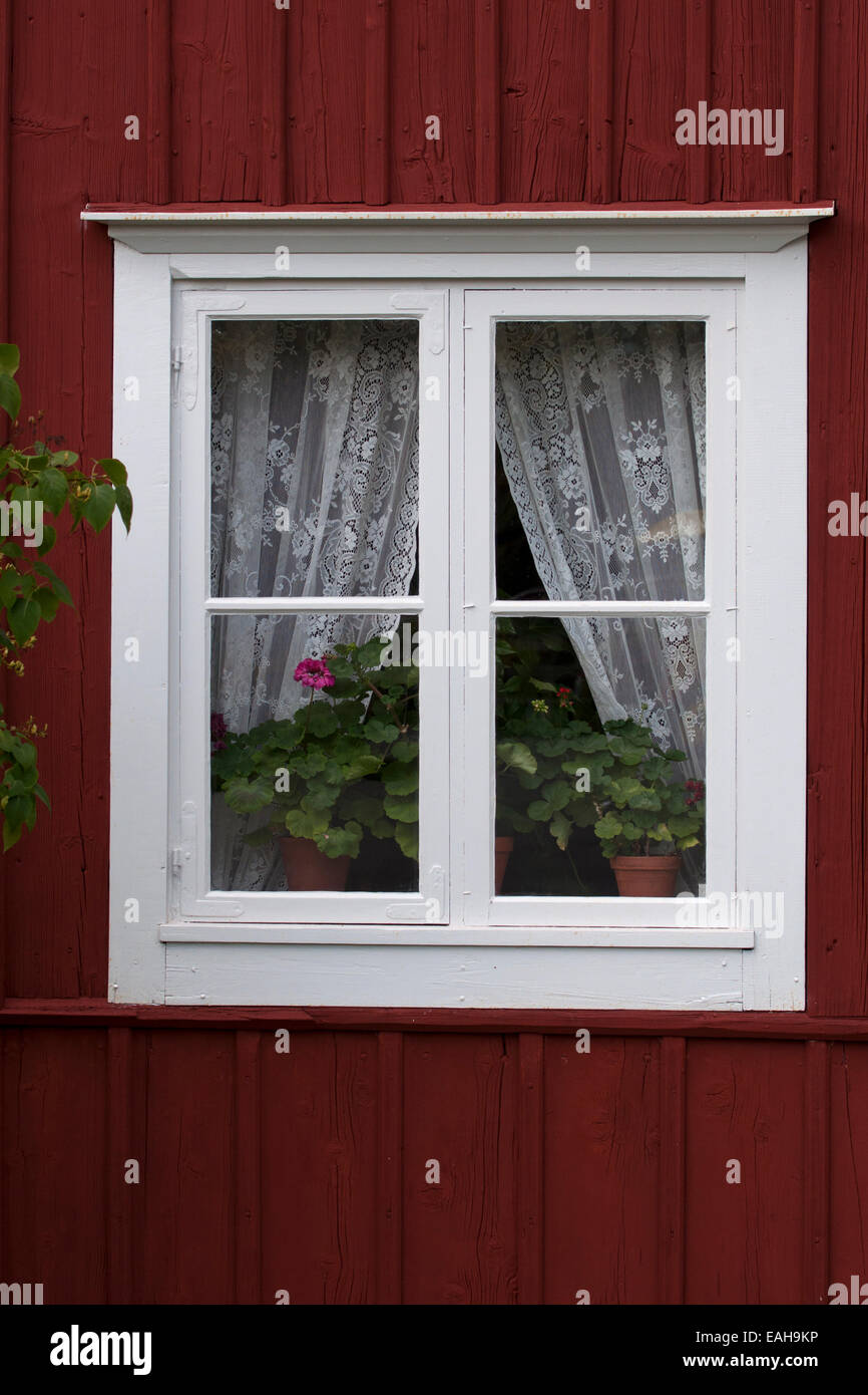 Finestra bianca con dei fiori sul davanzale interno, Skansen open-air Museum, Stoccolma, Svezia Foto Stock