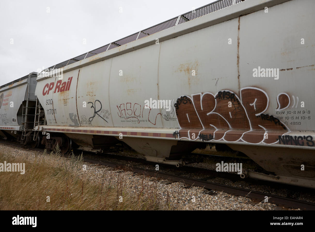 Cp del trasporto ferroviario di merci carrelli granella con tag graffiti su ex Canadian Pacific railway Saskatchewan Canada Foto Stock