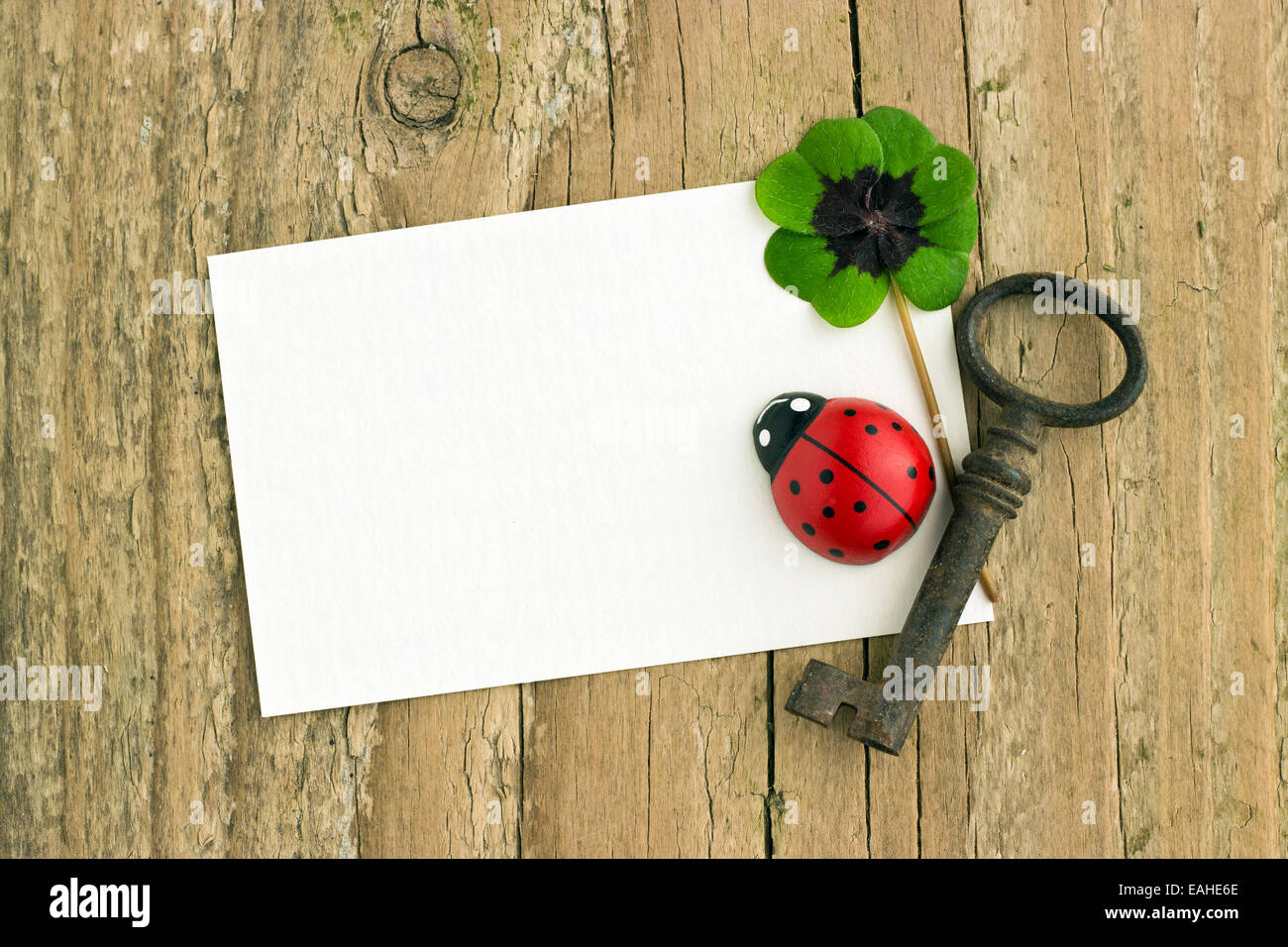 Chiave, Leafed trifoglio e ladybugs Foto Stock