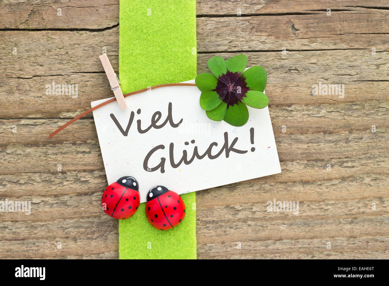 Il tedesco biglietto di auguri con Leafed trifoglio e ladybugs Foto Stock
