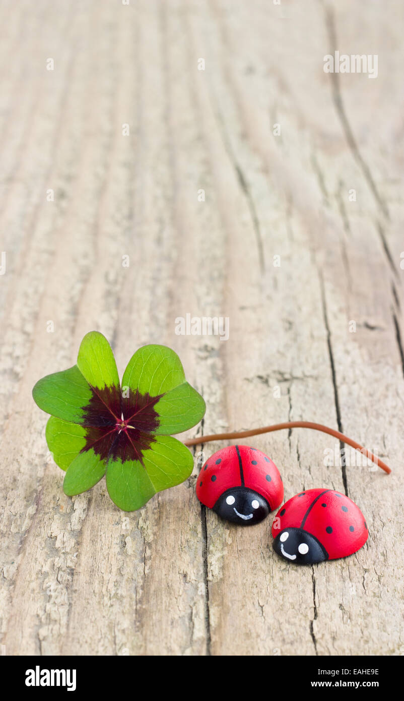 Leafed trifoglio e ladybugs sul pannello di legno Foto Stock
