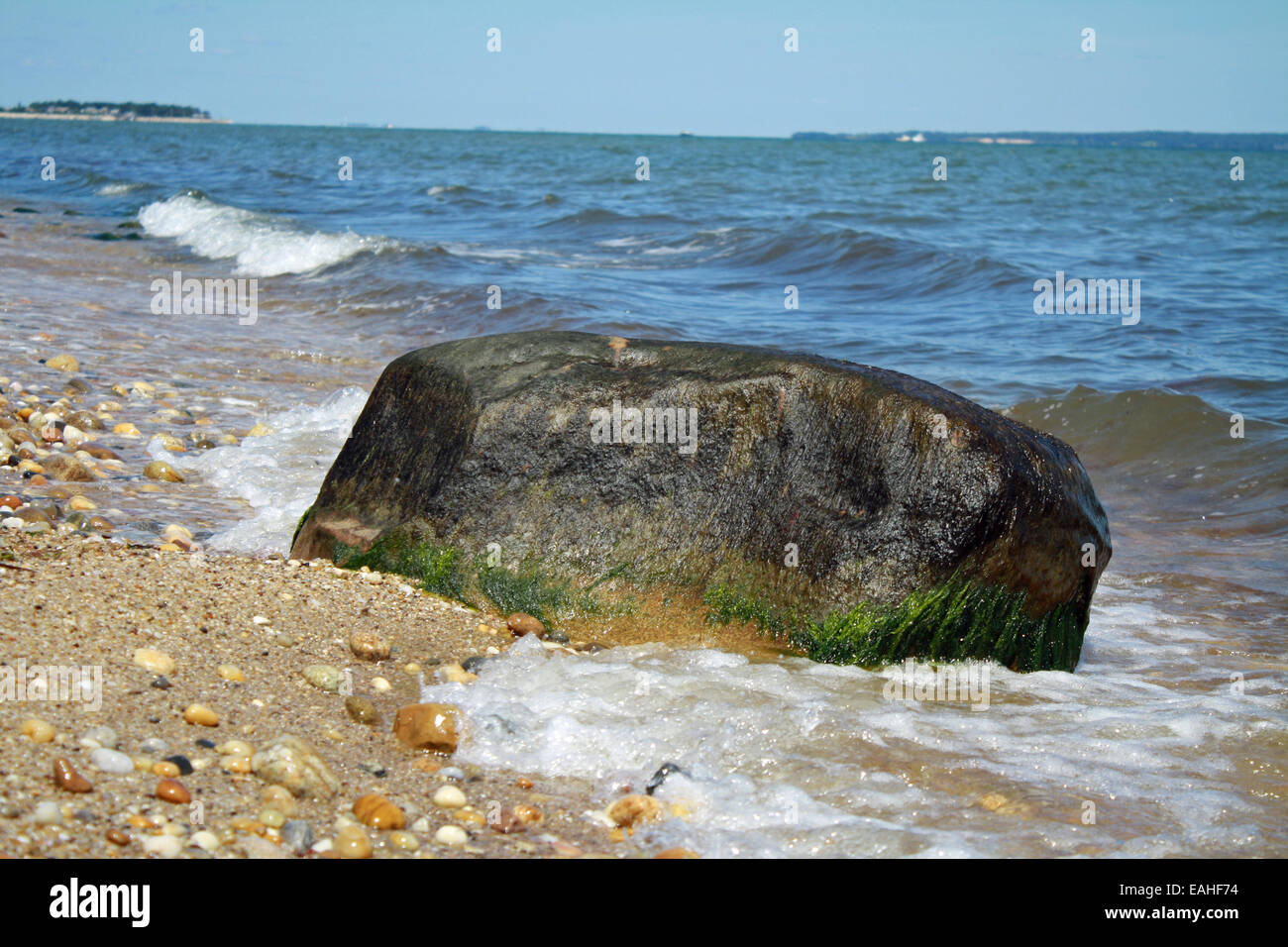 Grande coperta di alghe Boulder sul litorale a Baia Gardiners Oceano Atlantico Long Island New York Foto Stock