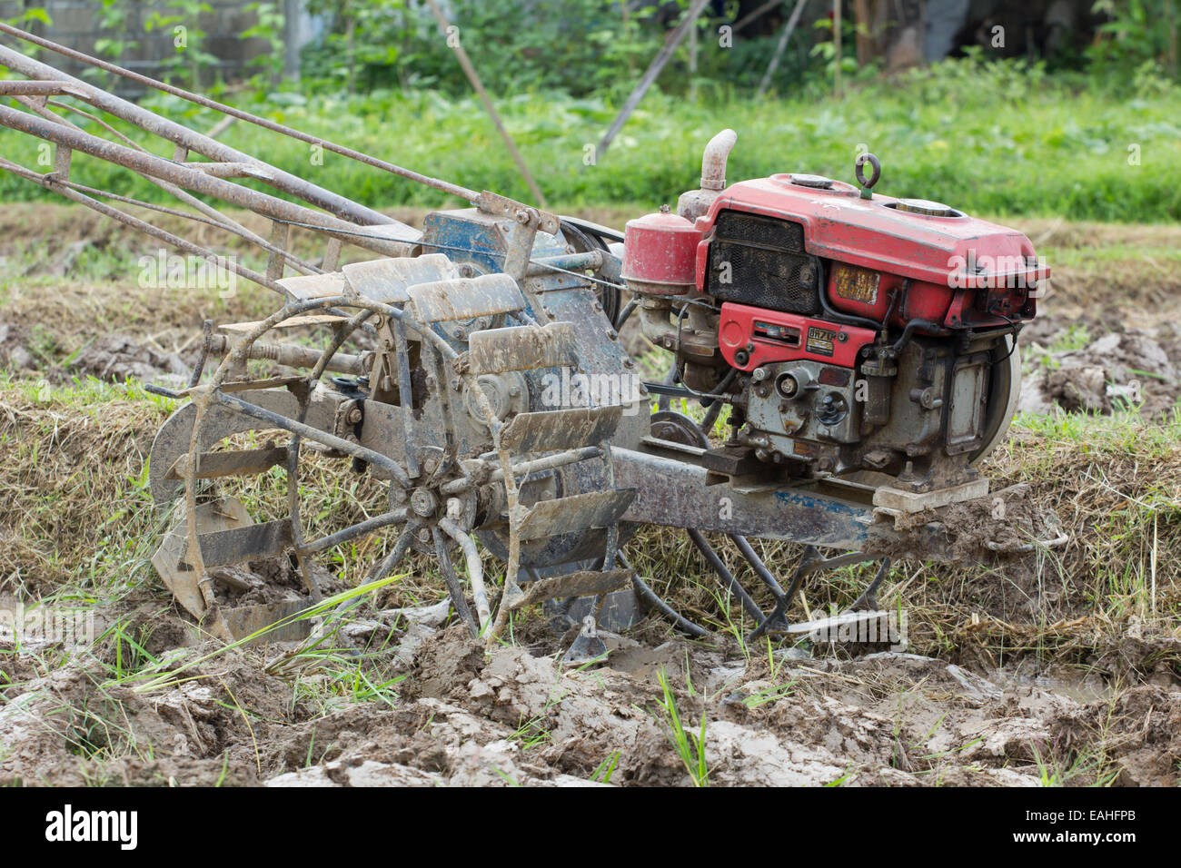 Vecchio motorino pushcart per arare il campo di riso Foto Stock