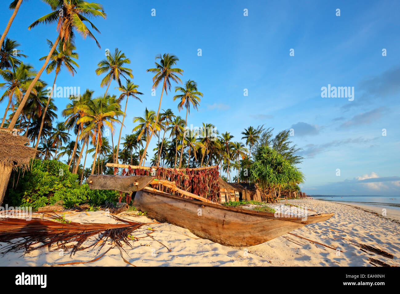 Imbarcazione a vela in legno (dhow) e palme su una spiaggia tropicale dell'isola di Zanzibar Foto Stock