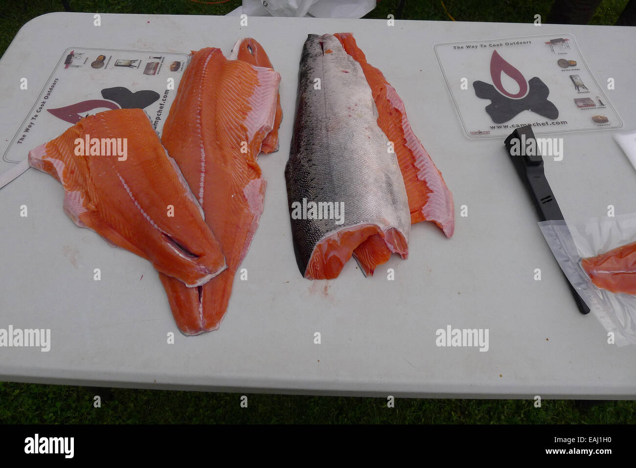 Chinook di filetti di salmone. Foto Stock