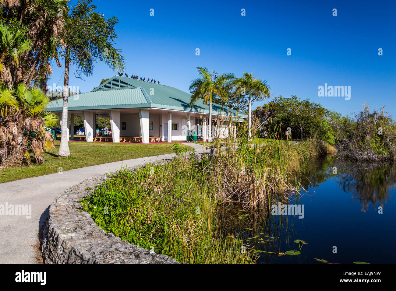 Il centro visitatori lungo la Anhinga Trail nel parco nazionale delle Everglades, Florida, Stati Uniti d'America. Foto Stock