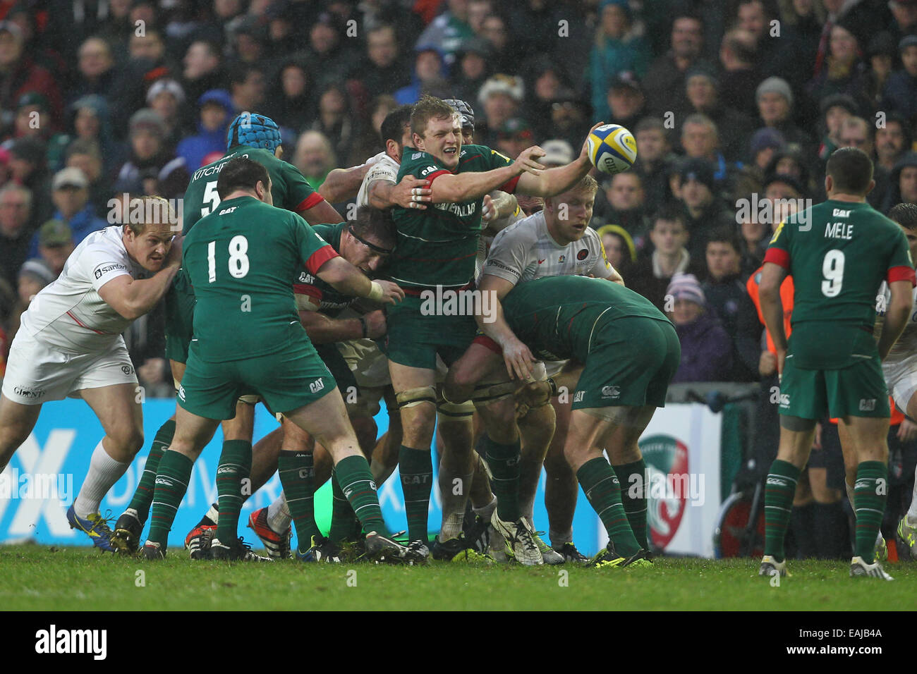 Leicester, Regno Unito. Xvi Nov, 2014. Aviva Premiership. Leicester Tigers contro i Saraceni. Leicester Jamie Gibson lavorando duro in allentato. Credito: Azione Sport Plus/Alamy Live News Foto Stock
